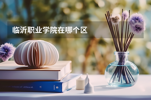 临沂职业学院在哪个区