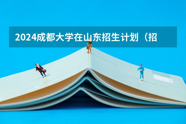 2024成都大学在山东招生计划（招多少人）