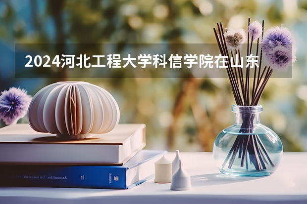2024河北工程大学科信学院在山东招生计划（招多少人）
