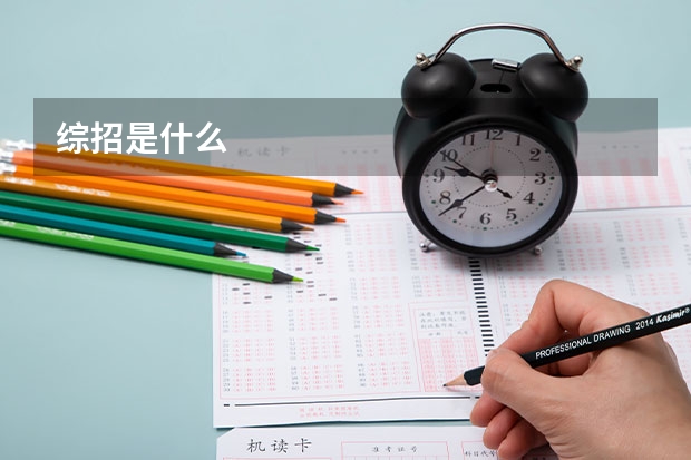 综招是什么