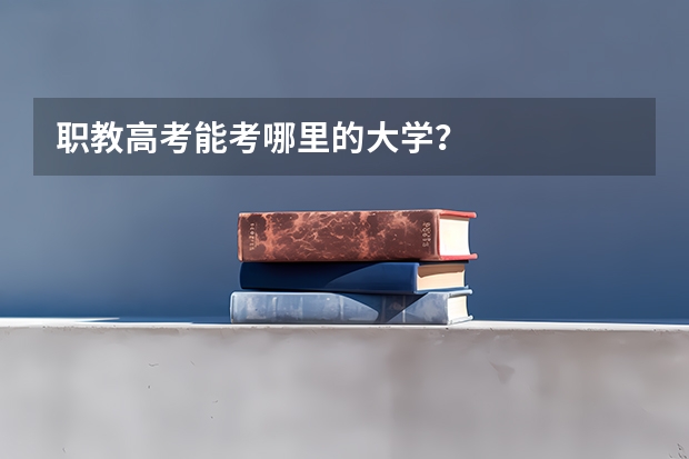 职教高考能考哪里的大学？