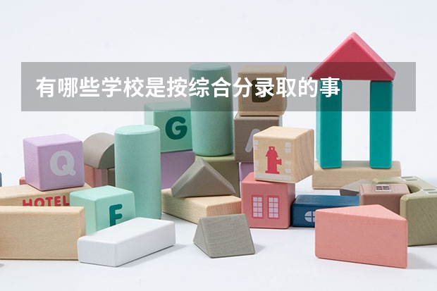 有哪些学校是按综合分录取的事
