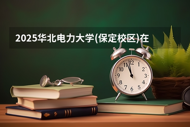 2025华北电力大学(保定校区)在山东招生计划预测（招多少人）