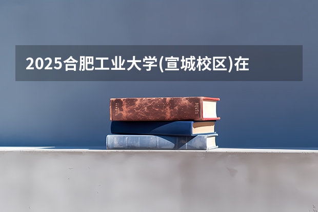 2025合肥工业大学(宣城校区)在四川招生计划预测（招多少人）