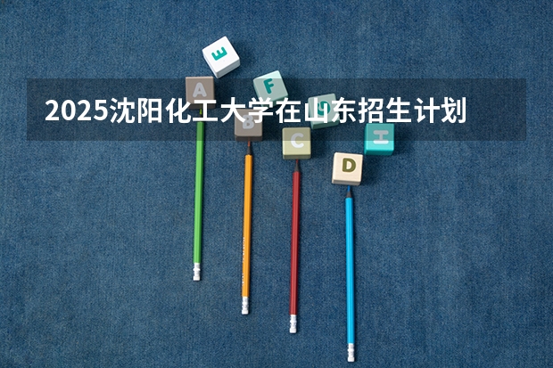 2025沈阳化工大学在山东招生计划预测（招多少人）