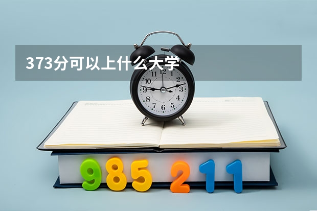373分可以上什么大学