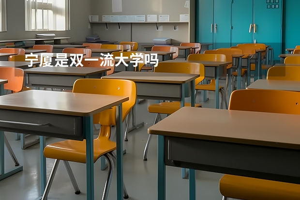 宁厦是双一流大学吗