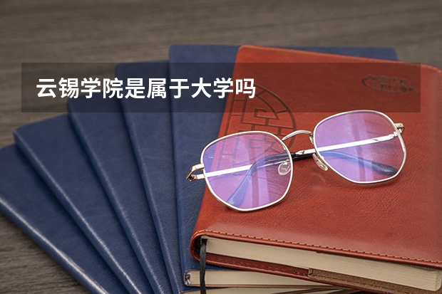 云锡学院是属于大学吗