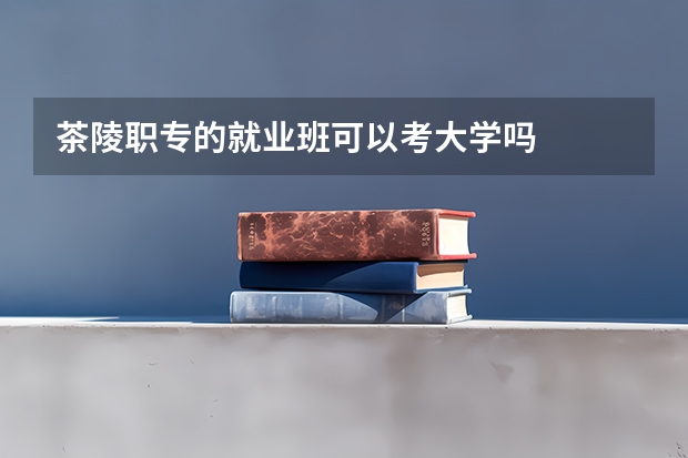 茶陵职专的就业班可以考大学吗