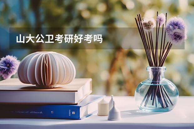 山大公卫考研好考吗