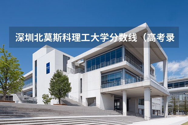深圳北莫斯科理工大学分数线（高考录取分数线一览表）