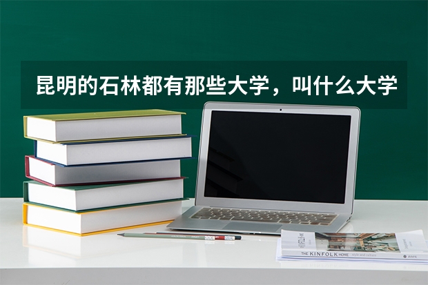 昆明的石林都有那些大学，叫什么大学