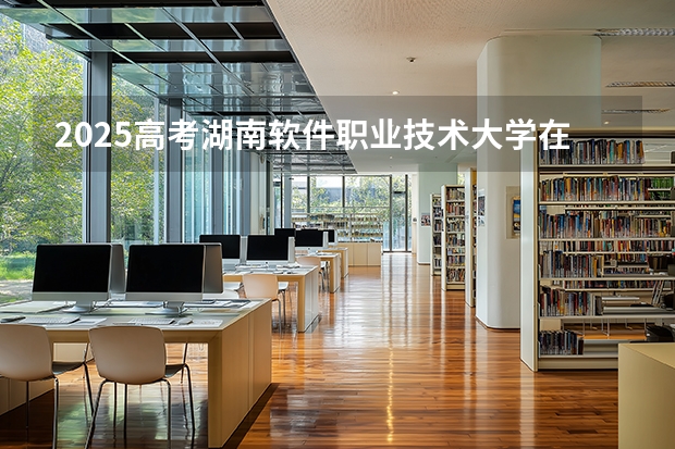 2025高考湖南软件职业技术大学在湖北招生计划介绍