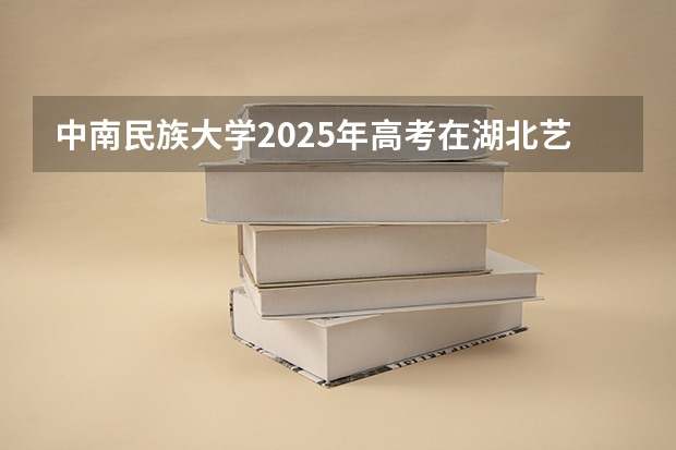 中南民族大学2025年高考在湖北艺术类投档分数线