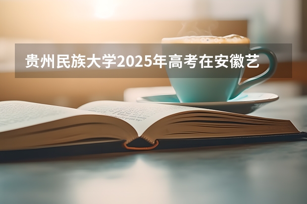 贵州民族大学2025年高考在安徽艺术类投档分数线
