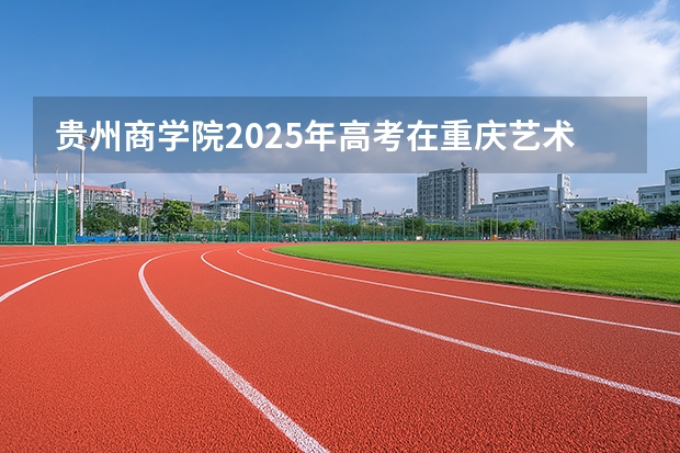 贵州商学院2025年高考在重庆艺术类投档分数线