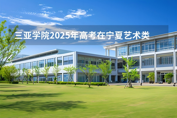 三亚学院2025年高考在宁夏艺术类投档分数线