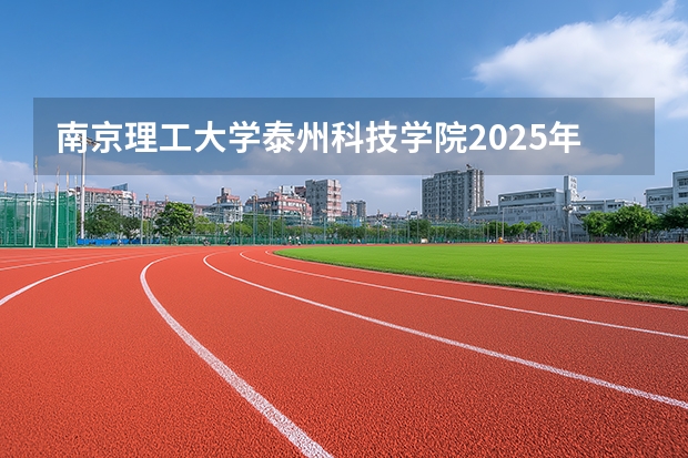 南京理工大学泰州科技学院2025年高考在山东艺术类投档分数线