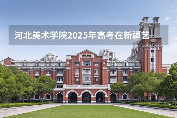 河北美术学院2025年高考在新疆艺术类投档分数线