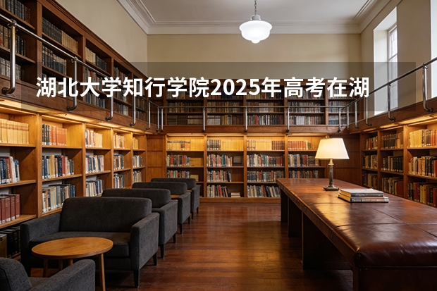 湖北大学知行学院2025年高考在湖南艺术类投档分数线