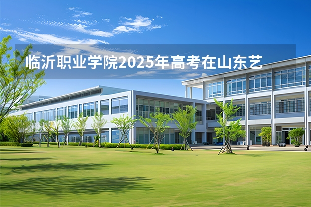 临沂职业学院2025年高考在山东艺术类投档分数线