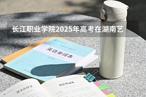 长江职业学院2025年高考在湖南艺术类投档分数线