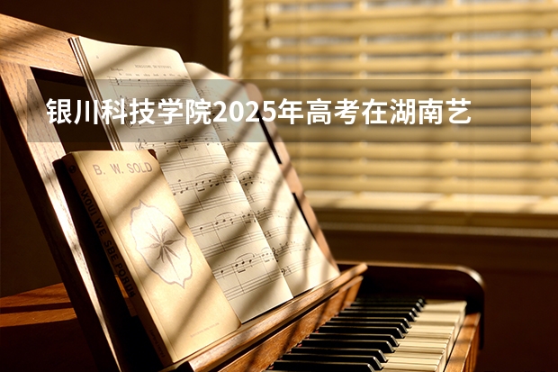 银川科技学院2025年高考在湖南艺术类投档分数线