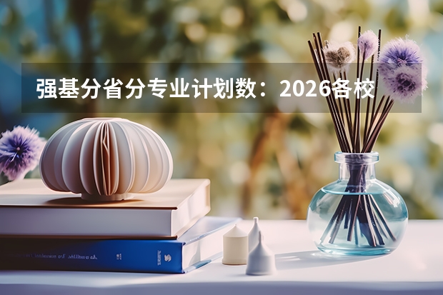 强基分省分专业计划数：2026各校招生名额分布