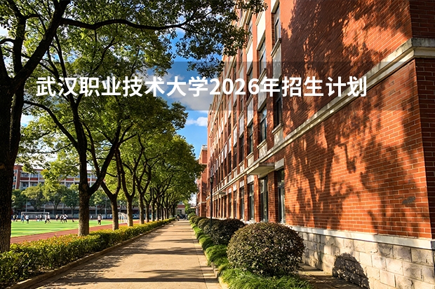 武汉职业技术大学2026年招生计划